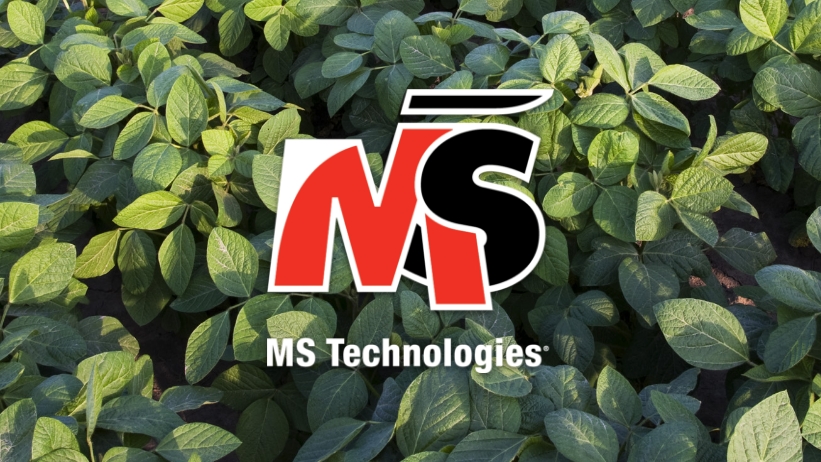 MS Technologies